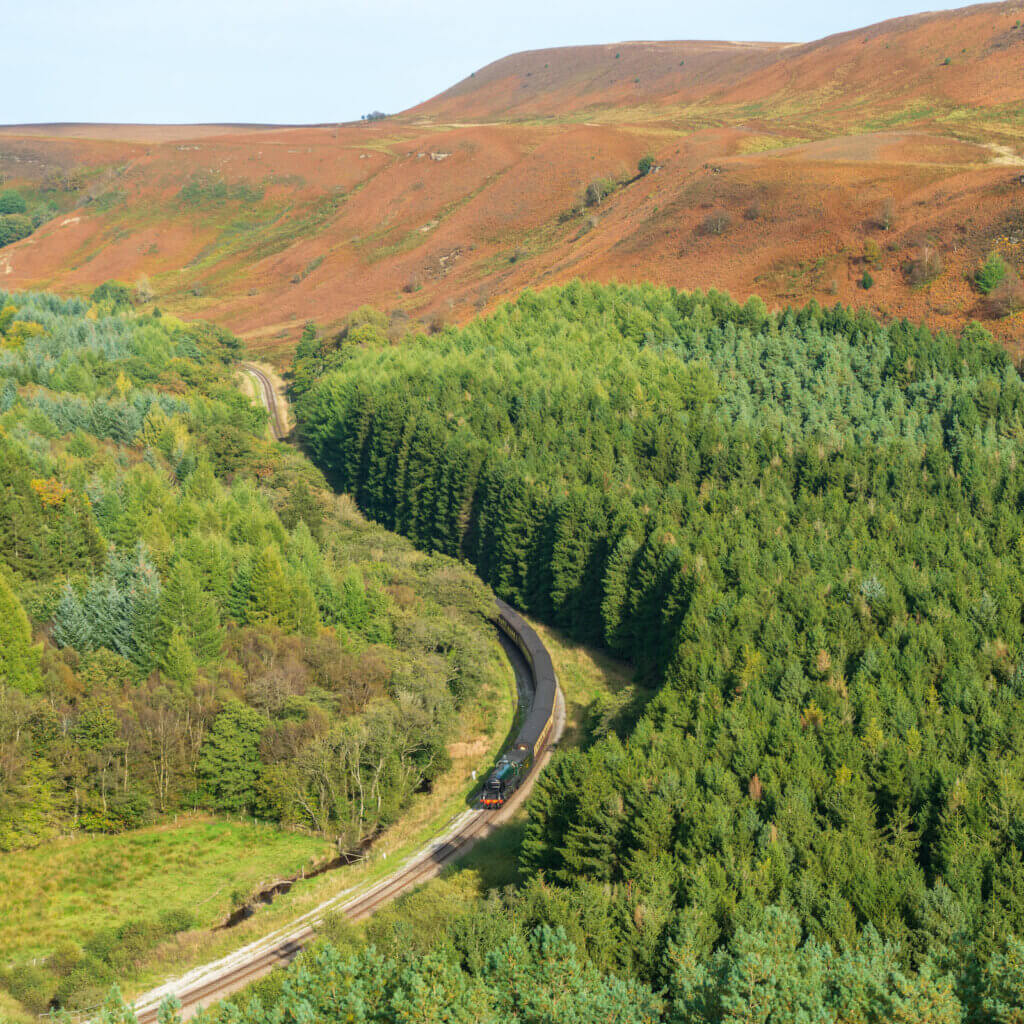 pickering train