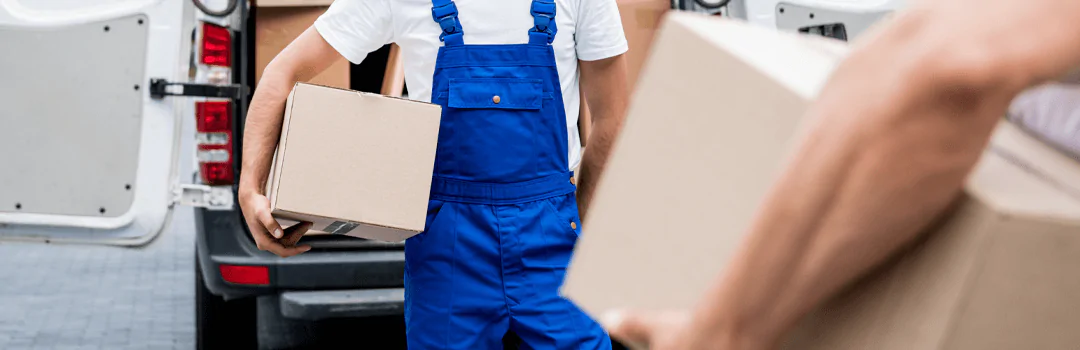 hide delivery boxes security idea for home security
