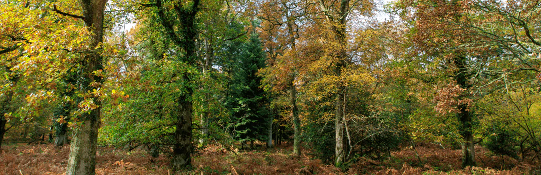 Andover nice places to live and locksmiths in Andover Keytek