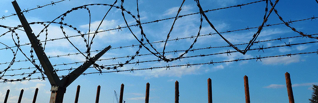 barbed wire