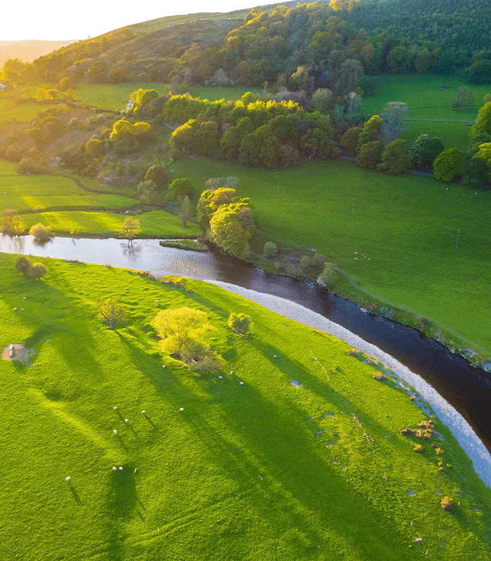 Aerial view of a winding river through lush green fields and trees, bathed in golden sunlight at dusk. Sheep dot the landscape.