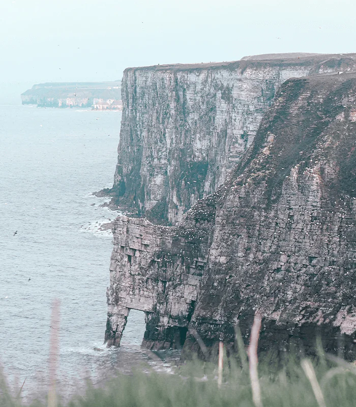A rugged cliff rises above the ocean, featuring a distinctive rock arch and scattered seabirds against a misty backdrop.