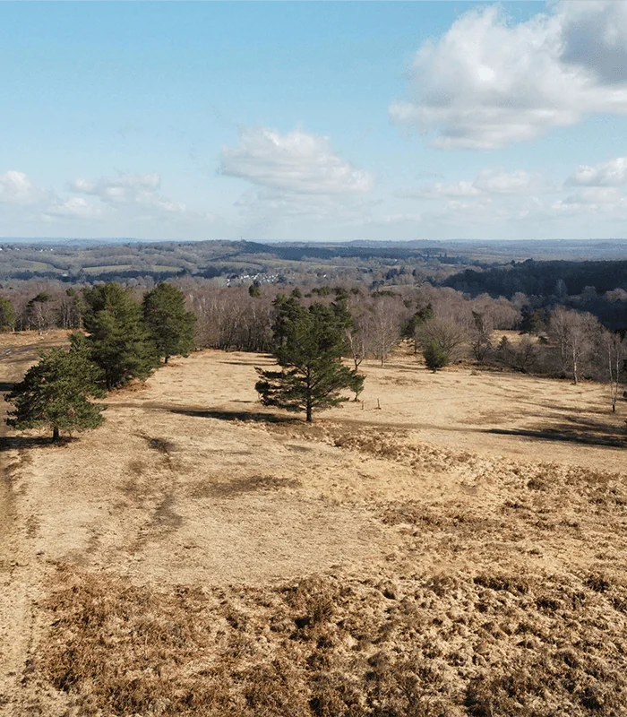 Aerial view of a sparse, grassy landscape with scattered trees and rolling hills under a bright blue sky with fluffy clouds.