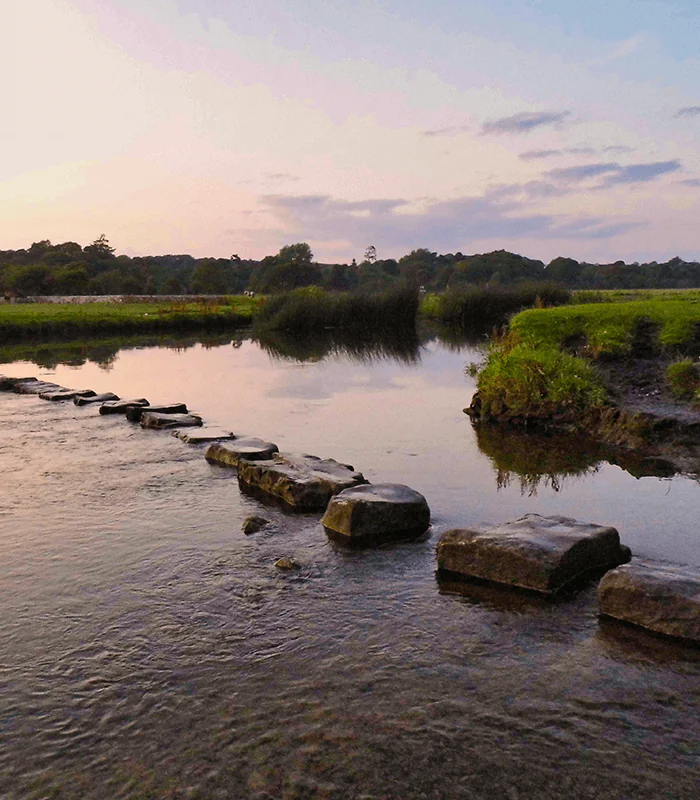 a line of stepping stones sitting in the middle of a river