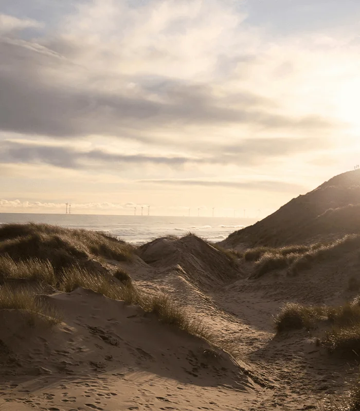 The dunes near Newburgh Beach in Aberdeenshire, Scotland.