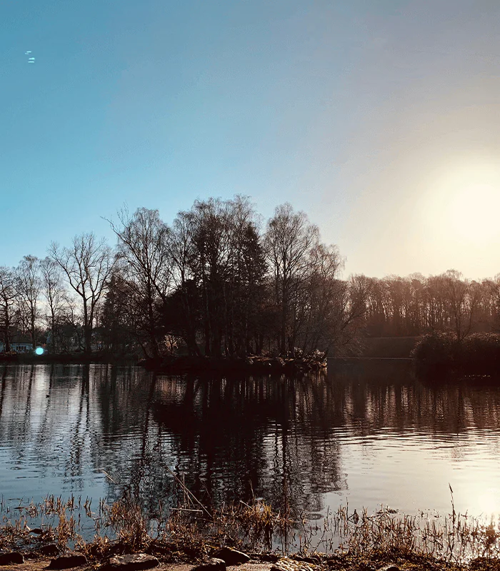 Calm lake reflecting bare trees under a clear blue sky, with a bright sun on the right, creating a serene, peaceful atmosphere.