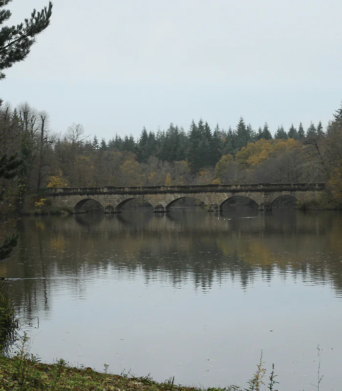 A stone bridge with arches spans a calm river, reflecting autumn foliage and overcast skies in a tranquil landscape.