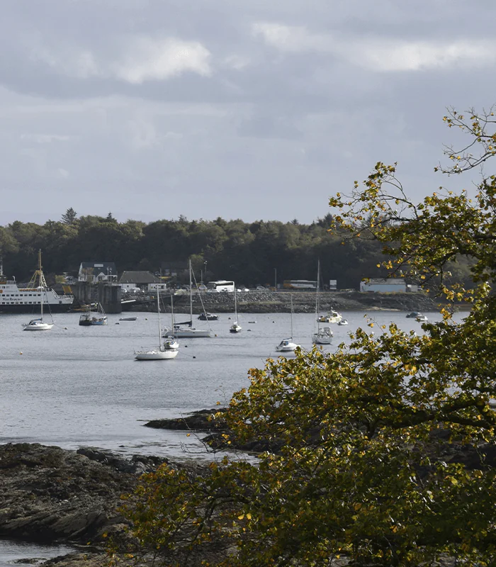 A calm harbor scene with several sailboats anchored on a serene bay. Trees frame the foreground, and a distant shoreline with buildings is visible. The sky is overcast.
