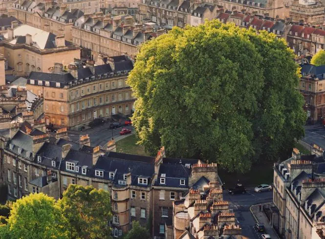 Aerial view of The Circus in Bath, England, a historic Georgian architectural landmark featuring a circular layout of limestone townhouses with classical detailing, surrounding a central green space dominated by a large mature tree, captured in warm golden-hour light.